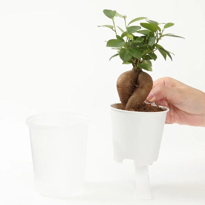 画像出所：無印良品公式オンラインストア