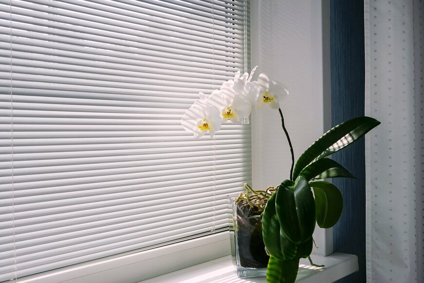 marvelouscity/Shutterstock.com