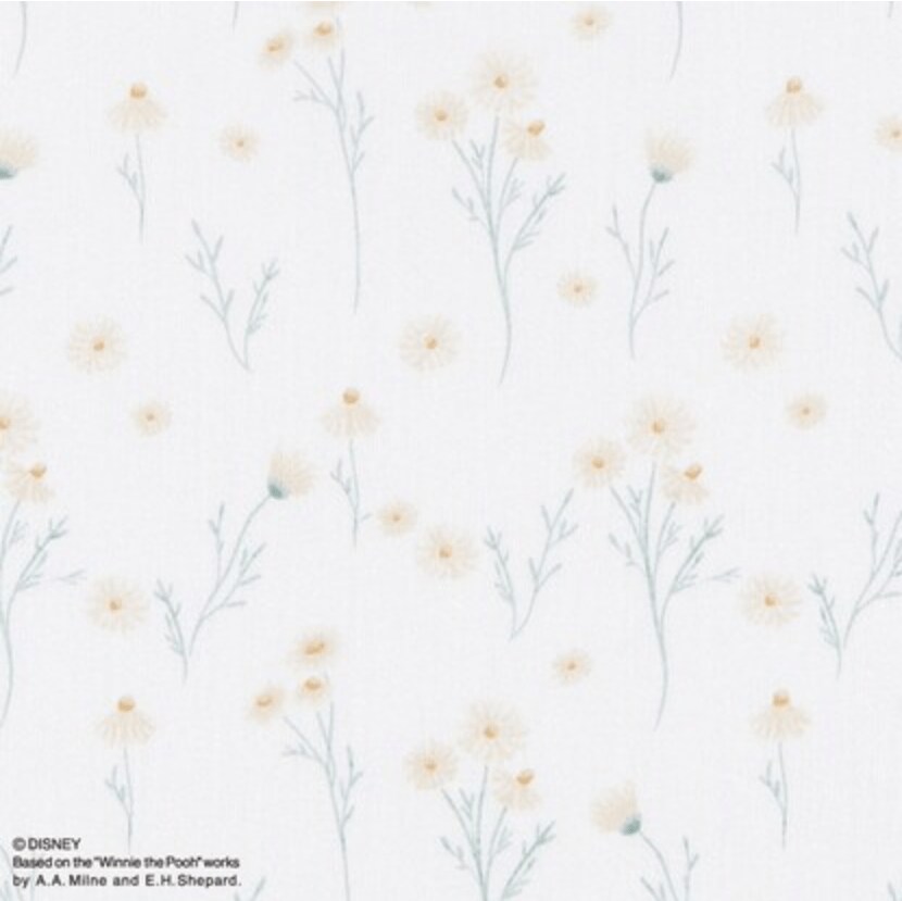 画像出所：ニトリ公式