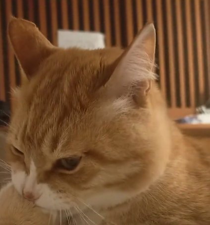 出所：＠torakichicorporation