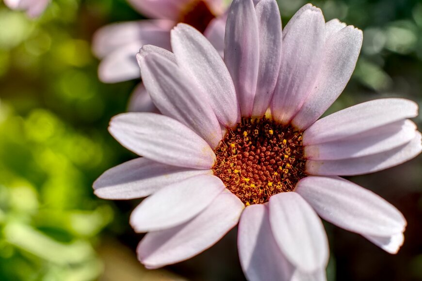 Wirestock Creators/Shutterstock.com