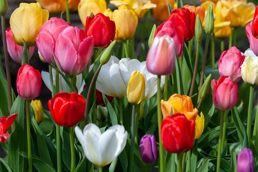 Nadya So/istockphoto.com