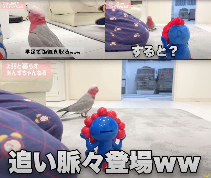 出所：@anz_omomiri