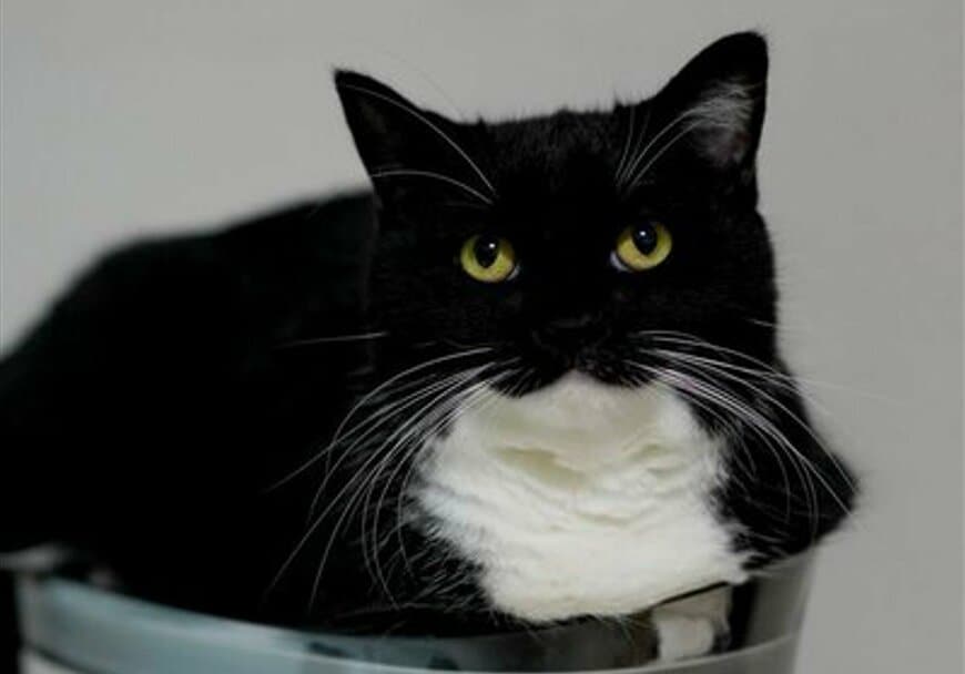 出所：@unicouniuni3