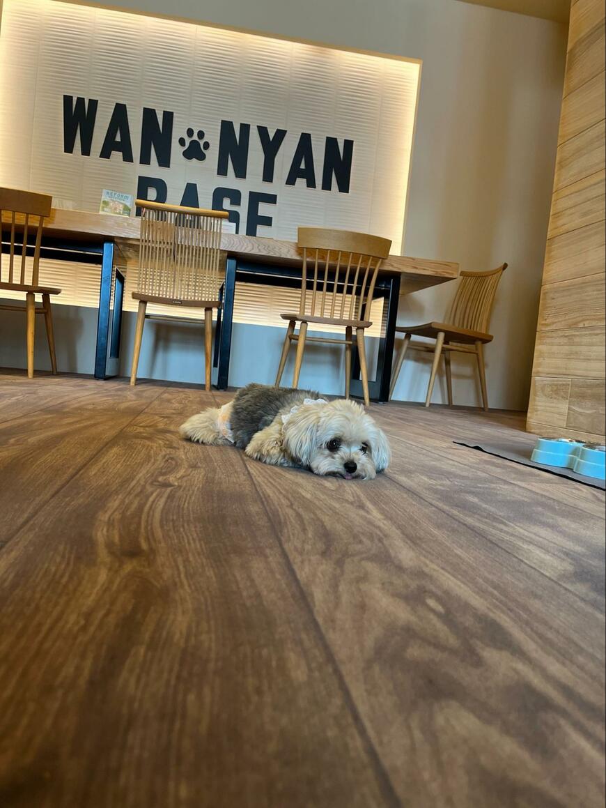 出所：@potage_0924