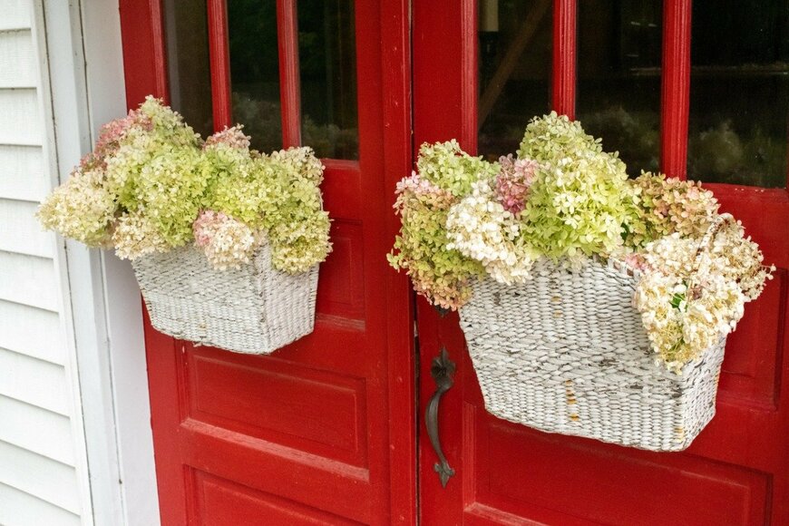 Wirestock/istockphoto.com