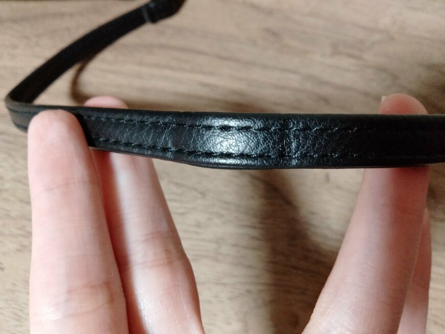 筆者撮影（宝島社、ANNA SUI じゃばら式スマホポーチ）