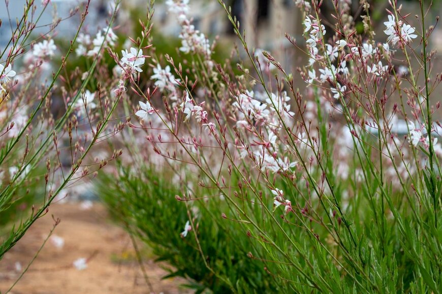 Zoya El/shutterstock.com