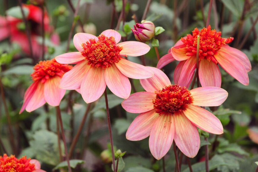 Alex Manders/shutterstock.com