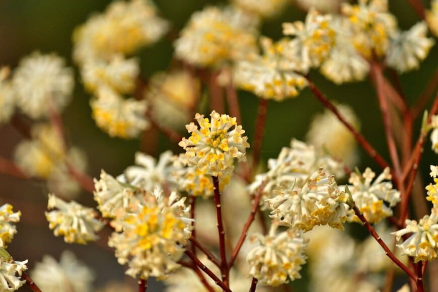 scott mirror/shutterstock.com