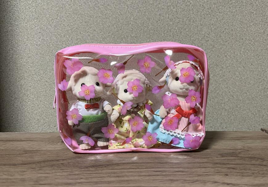 筆者撮影（キャンドゥ、スクエアポーチ桜 MA-1787）