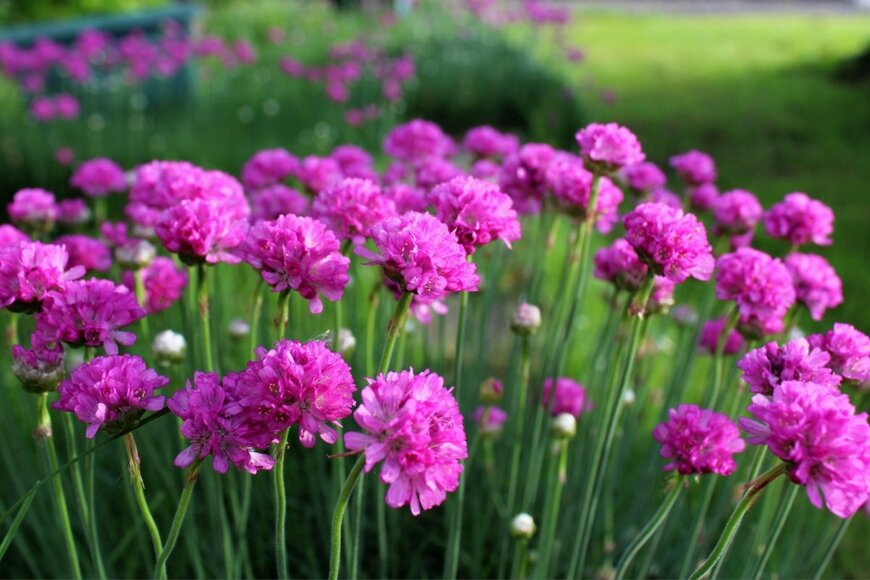 Aprilflower/shutterstock.com
