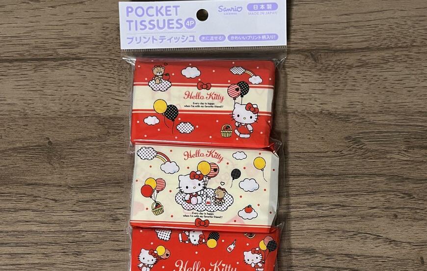 筆者撮影（キャンドゥ、KT 4P プリントティッシュ25）