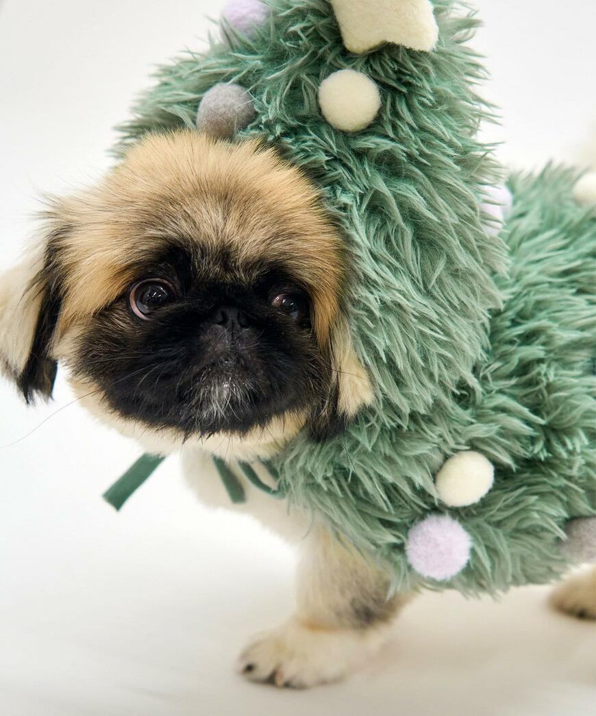 3COINS ペット用クリスマスツリーコス