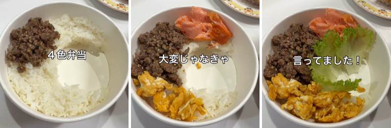 投稿の画像