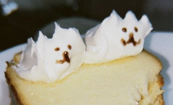 茶色で顔を描いたクリームチーズの犬のアップ