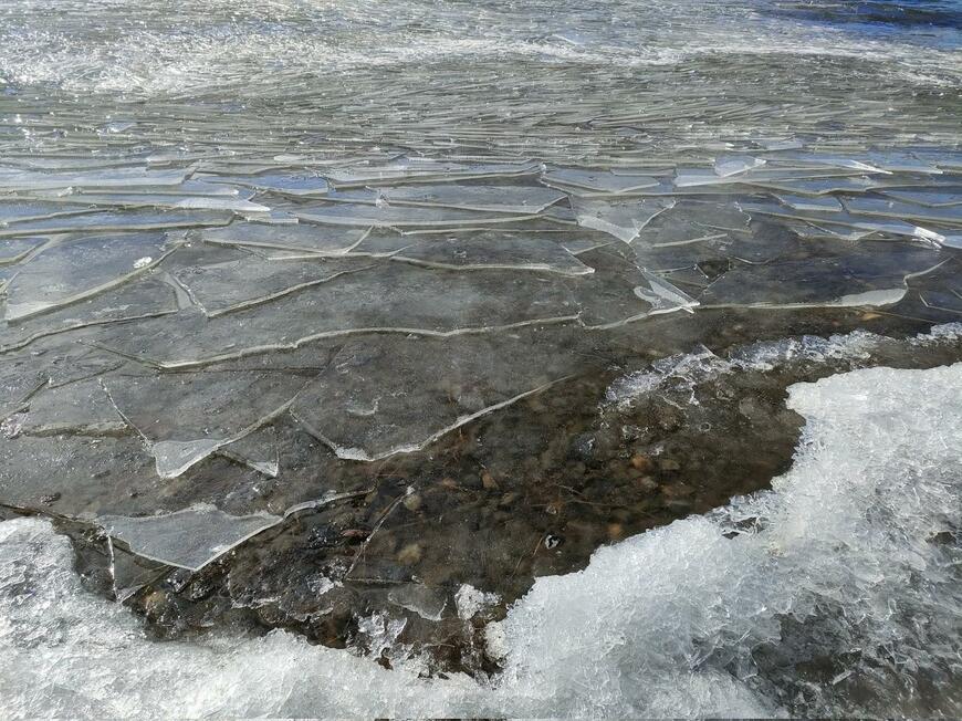 薄い氷が張っている諏訪湖