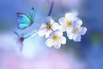 【厚生年金】平均年収1200万円の人は老後に年金を月いくら受給できる？勤続30年でシミュレーション