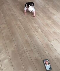 ゼロ歳児の全力ハイハイ動画　目指す先に「待っていた人」が意外すぎて爆笑