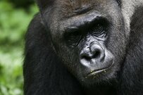 最新の年金一覧表「60歳～90歳以上」の厚生年金・国民年金、平均受給額は月額いくら？