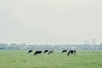 「スケールが大きすぎる…」　北海道大学のキャンパス内で撮影された1枚に思わず目を疑う