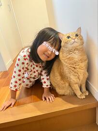 「奴はニャンだ」娘さんが新入りのぬいぐるみを抱っこ。元保護猫の複雑な反応にSNSで和む人続出