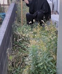 家の「雑草だらけの庭」が大変身→プロの仕事で思わず目を疑う「スッキリ空間」に…