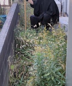 家の「雑草だらけの庭」が大変身→プロの仕事で思わず目を疑う「スッキリ空間」に…