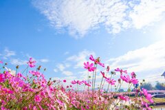 【70歳代の貯蓄額】平均と中央値はいくら？「貯蓄ゼロ世帯」は何パーセントか