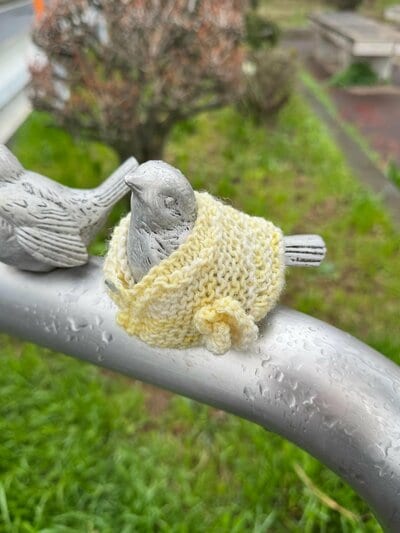 菜の花色の洋服を着ています