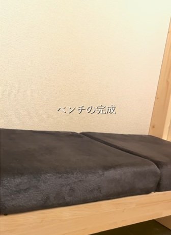 投稿動画のワンシーン