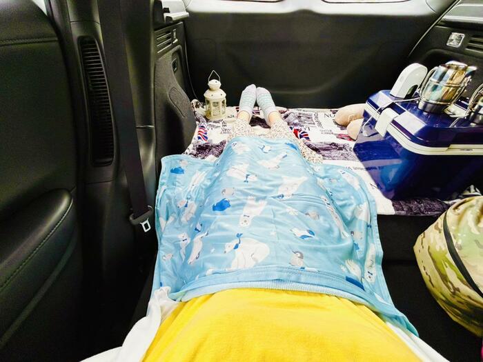 冷感ブランケット（アニマル）