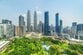 マレーシアの街で発見した「不思議な観葉植物」　独特すぎる見た目に「なんかかわいい」「意外と実用的」との声