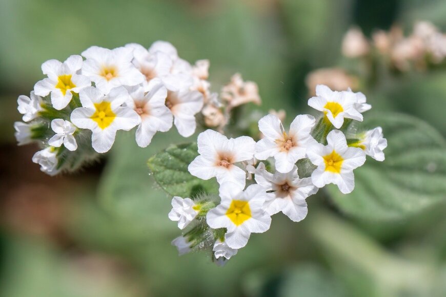 Esin Deniz/istockphoto.com