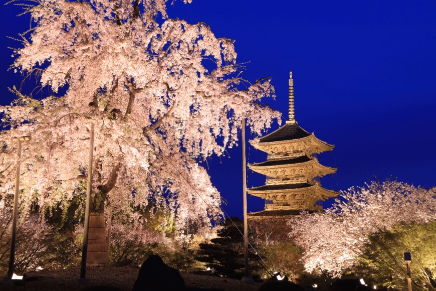 画像出所：東海旅客鉄道株式会社