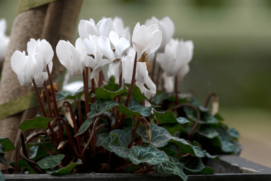 Freila/istockphoto.com