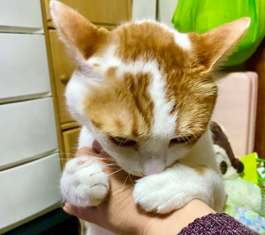 出所：@luna7taka9