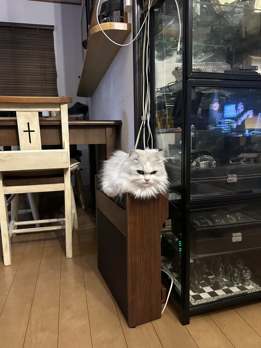 出所：@NEKOLAND13