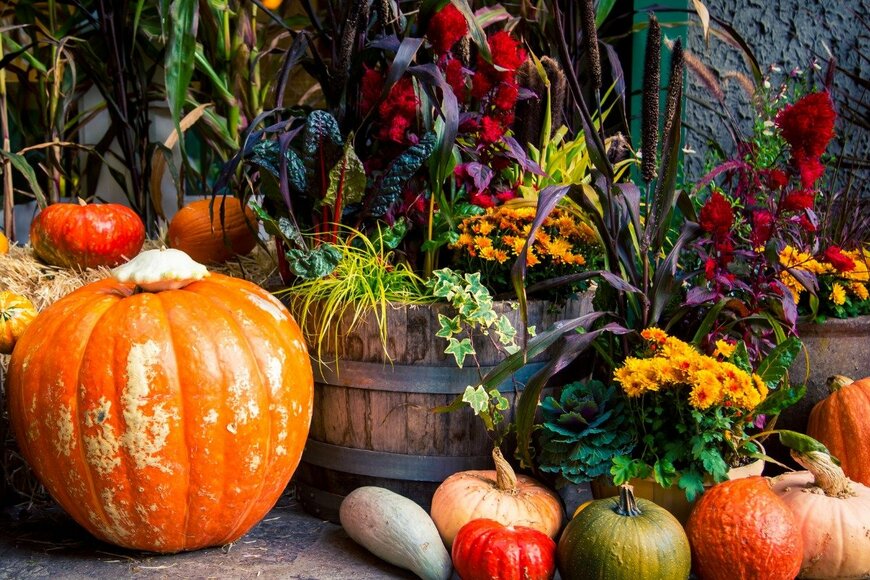 rustyl3599/istockphoto.com