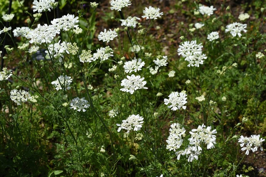 undefined undefined/istockphoto.com