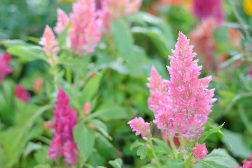 changephoto/istockphoto.com