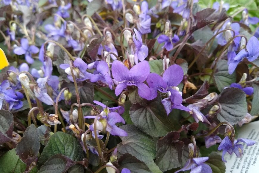 John Caley/istockphoto.com