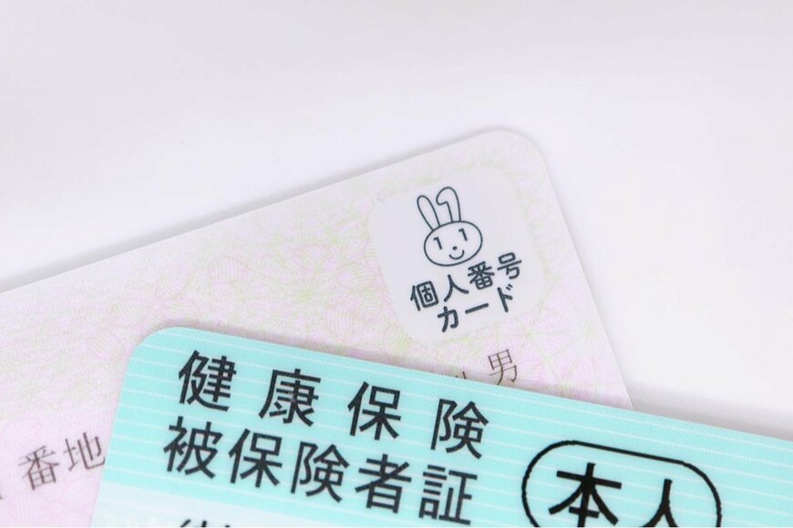 umaruchan4678/shutterstock.com