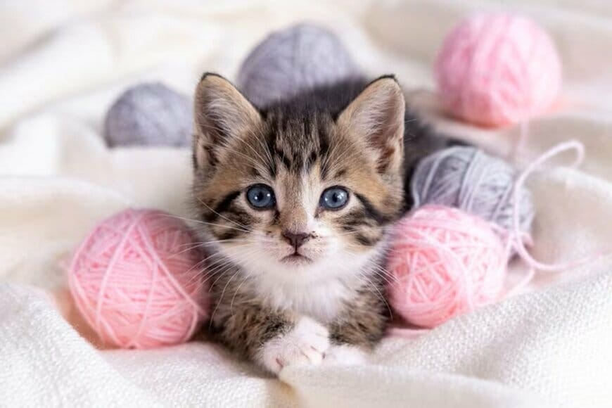 【新NISAシミュレーション】50歳→65歳まで「月5万円の積立投資」15年後の資産はいくらになるのか利回り別に試算！