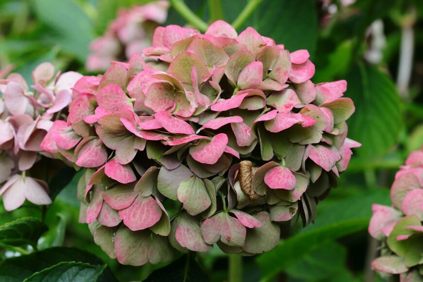 Edimoh/shutterstock.com