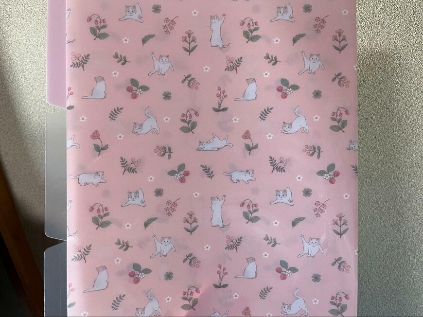 筆者撮影（セリア、LJP A4　クリアホルダー 3ポケットネコ）