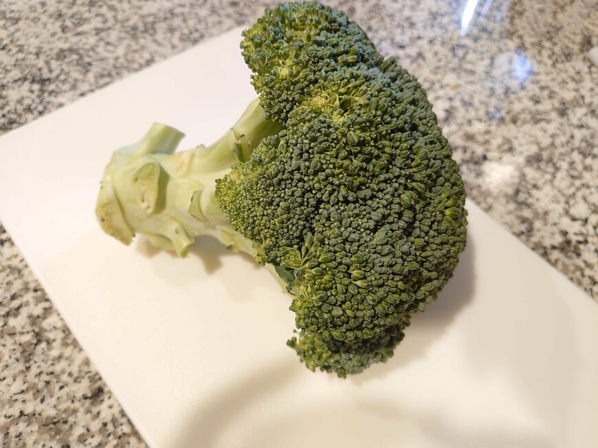 みずみずしくて新鮮なブロッコリーです