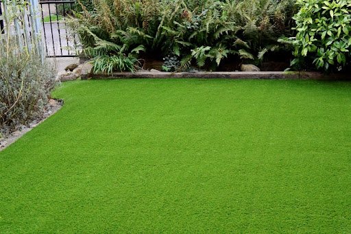 Gerry Burrows/shutterstock.com