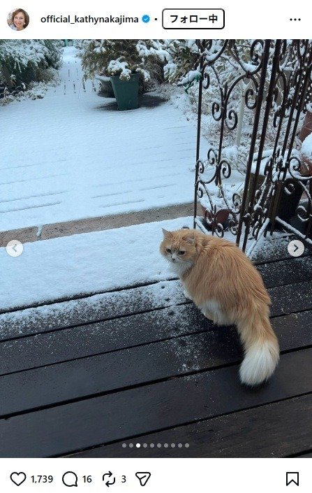 出所：キャシー中島のInstagram（＠official_kathynakajima）　参照日：2026年2月9日