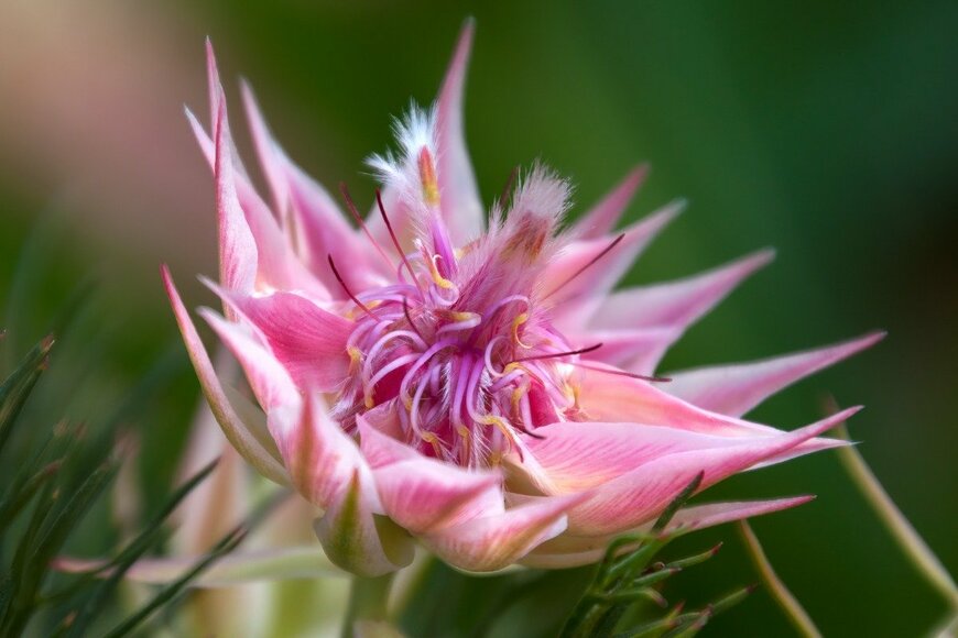 Karin de Mamiel/istockphoto.com